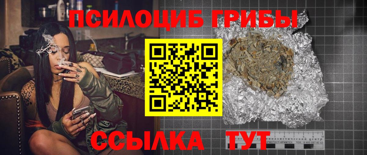 Псилоцибиновые грибы Psilocybe Десногорск